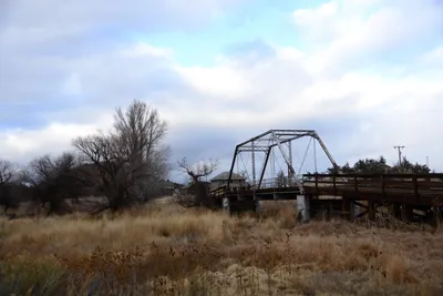 DSC_2923 (Large).JPG